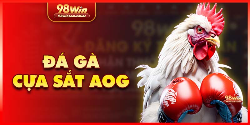 Đá gà cựa sắt tại AOG